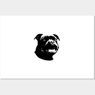 Staffy - Staffie- Staffordshire Bull Terrier Modern Posters and Art